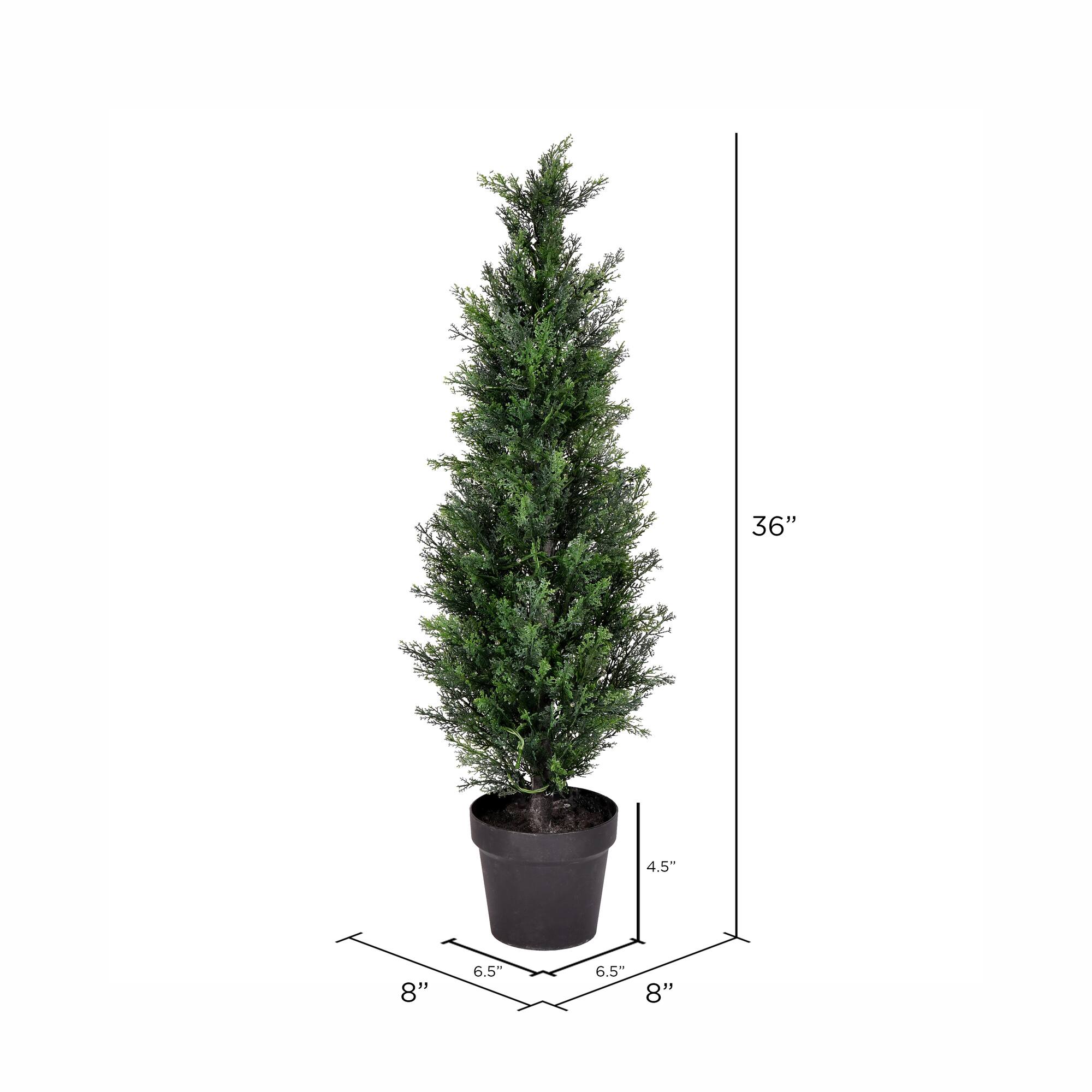 3ft. Potted Cedar Tree
